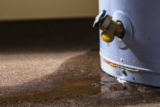 Best Flooded house restoration  in Belen, NM