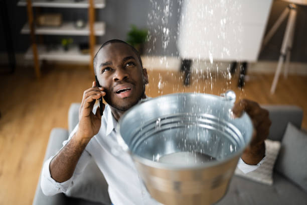 Best Commercial water damage restoration  in Belen, NM