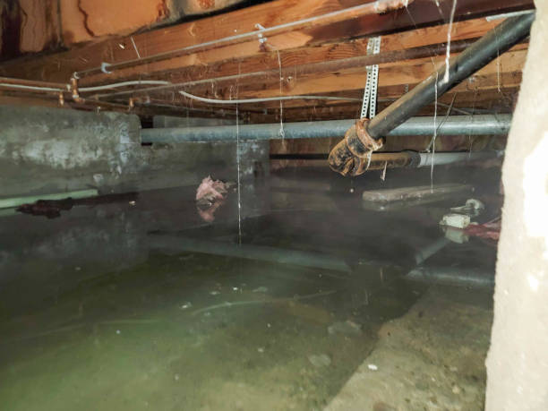 Best 24/7 water damage repair  in Belen, NM