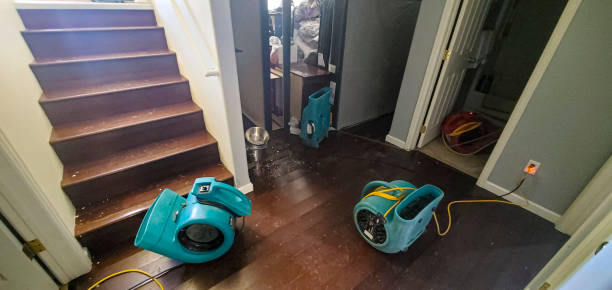 Best Emergency water damage restoration  in Belen, NM