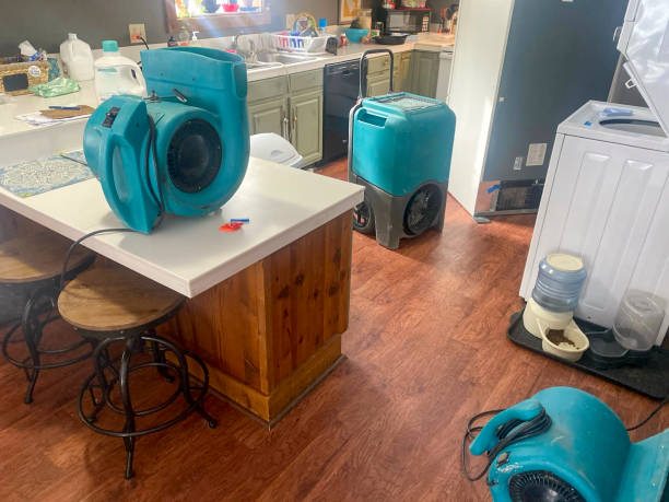 Carpet water damage restoration in NM