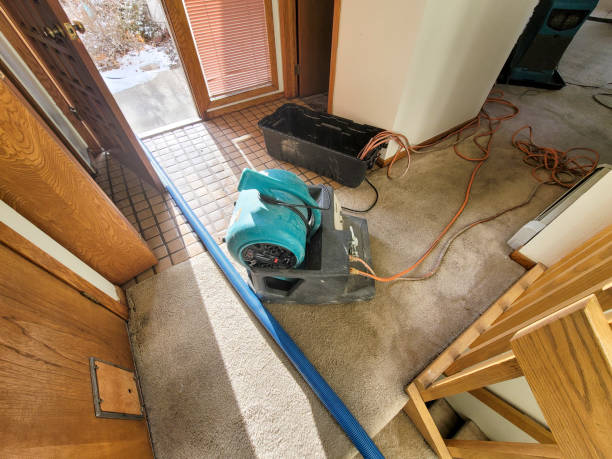 Best Carpet water damage restoration  in Belen, NM