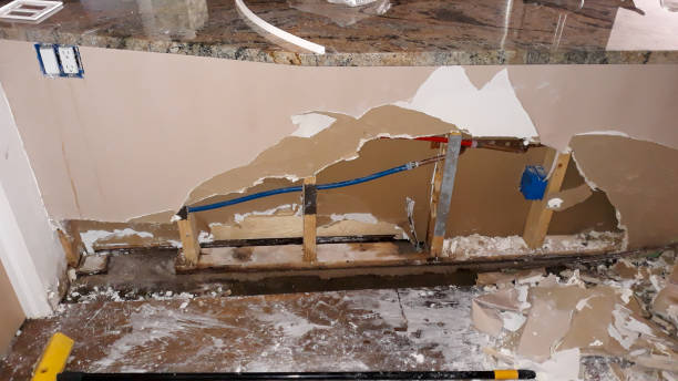 Best Ceiling water damage repair  in Belen, NM