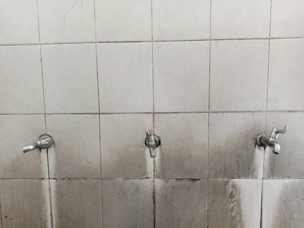 Best Flood damage cleanup  in Belen, NM