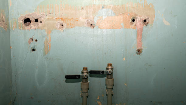 Best Water damage cleanup near me  in Belen, NM