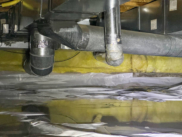 Best Water damage restoration experts  in Belen, NM