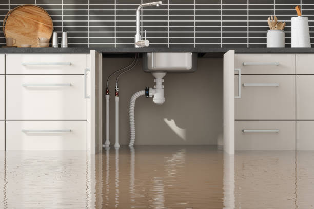 Water damage restoration mold remediation in NM