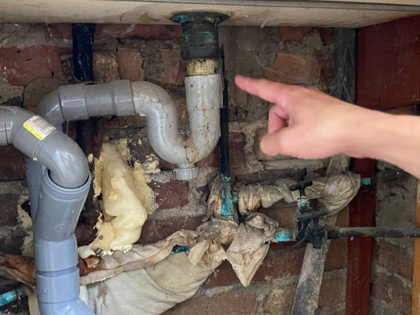 Reliable NM Water damage restoration Solutions