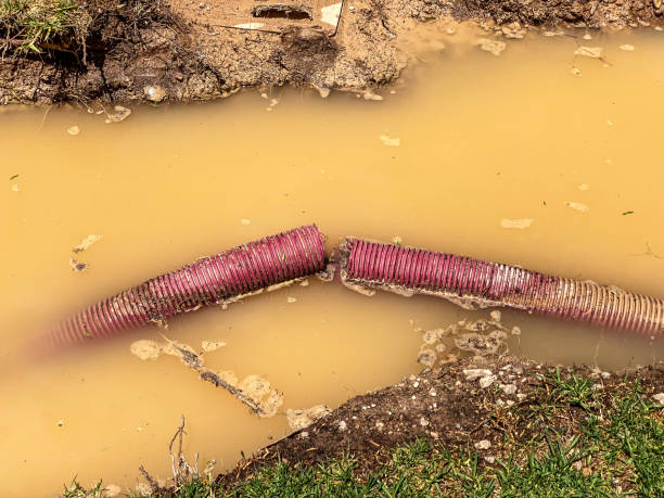 Best Water damage contractors near me  in Belen, NM
