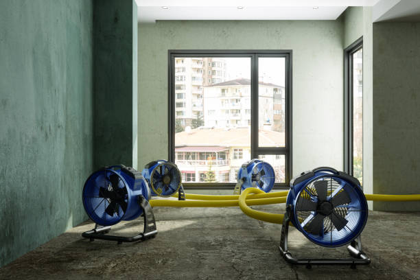 Water damage restoration experts in NM
